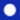 Navy Spot